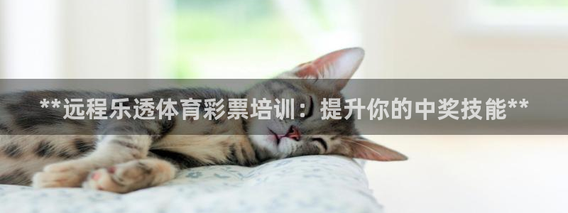 耀世娱乐升 5O6917 娱乐：**远程乐透体育彩票