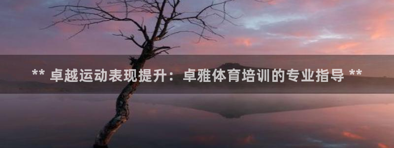 耀世平台最新注册地址是哪里的：** 卓越运动表现提升：卓雅体