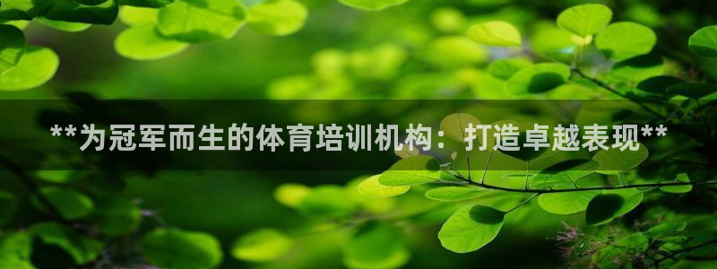 耀世平台是黑台子吗：**为冠军而生的体育培训机构：打