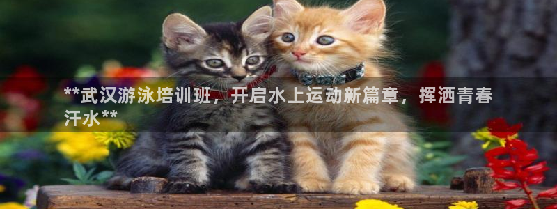 耀世娱乐是玛雅旗下的吗知乎：**武汉游泳培训班，开启