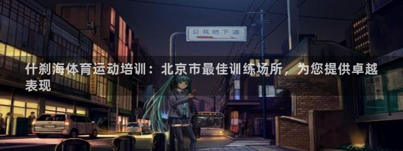 耀世平台app下载官网：什刹海体育运动培训：北京市最