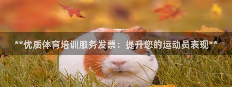 耀世天下网名好吗：**优质体育培训服务发票：提升您的