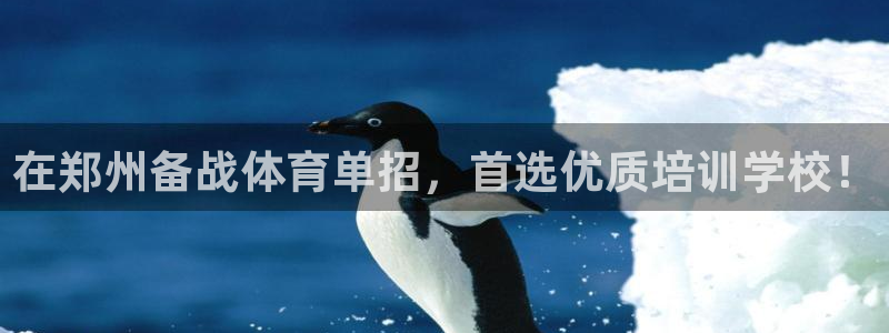 耀世平台乙六七五一38：在郑州备战体育单招，首选优质