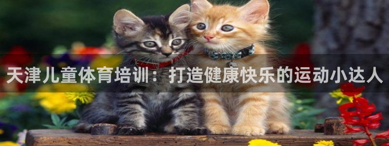 耀世娱乐能不能提现到微信：天津儿童体育培训：打造健康