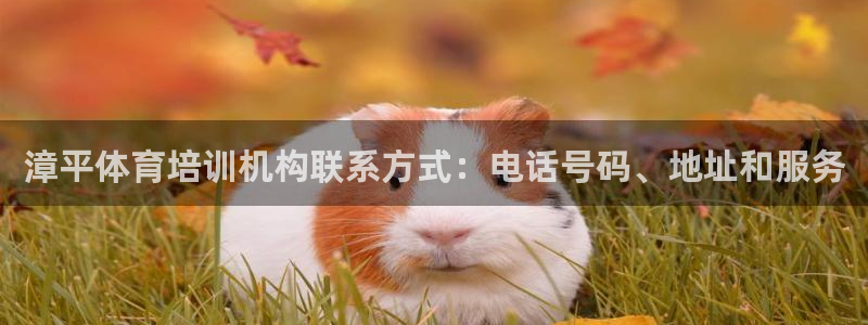 耀世天下搭配一个图片：漳平体育培训机构联系方式：电话号码、地