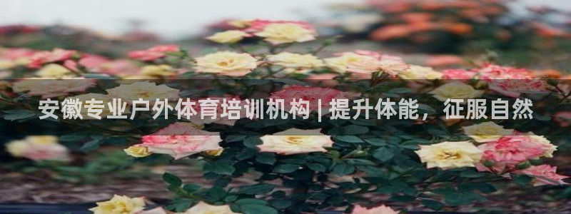 耀世集团商业联盟怎么样
