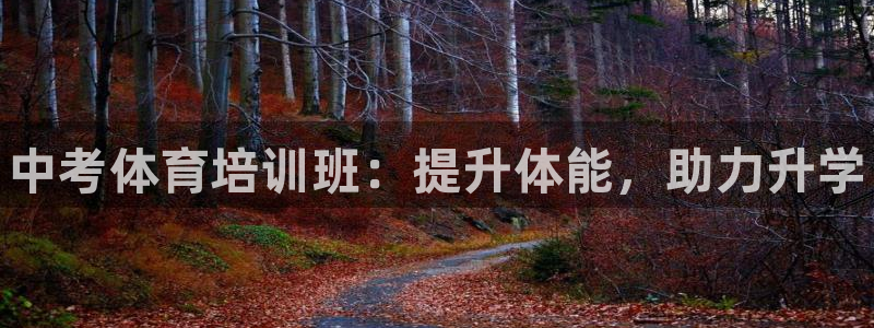 耀世娱乐挂机脚本怎么用：中考体育培训班：提升体能，助力升学