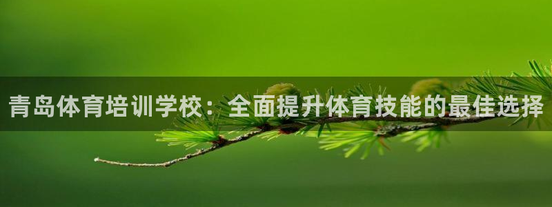 耀世集团：青岛体育培训学校：全面提升体育技能的最佳选