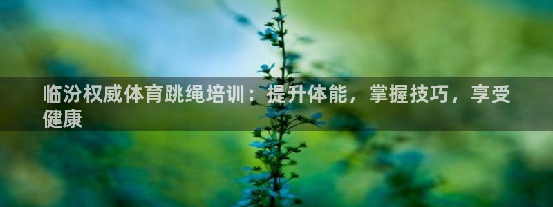 耀世娱乐平台官网登录不了：临汾权威体育跳绳培训：提升体能，掌