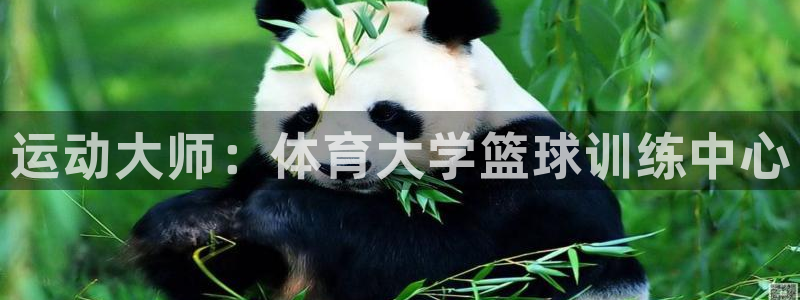 耀世集团董事长抖音名字