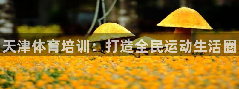 耀世国际平台正规吗安全吗可靠吗：天津体育培训：打造全民运动生