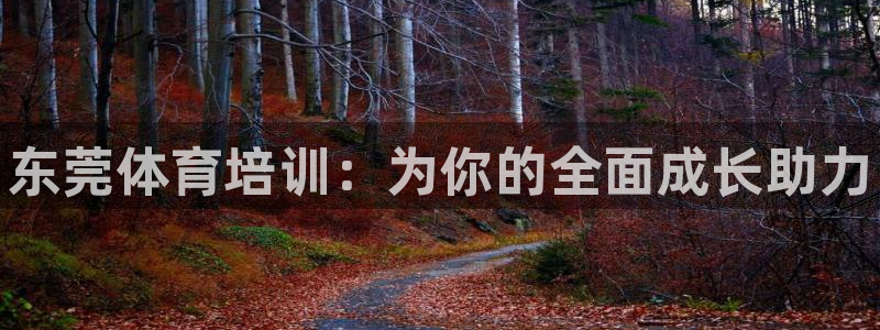 耀世娱乐下载最新版本安装苹果：东莞体育培训：为你的全