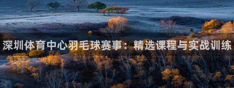 耀世娱乐在线登录官网入口下载：深圳体育中心羽毛球赛事