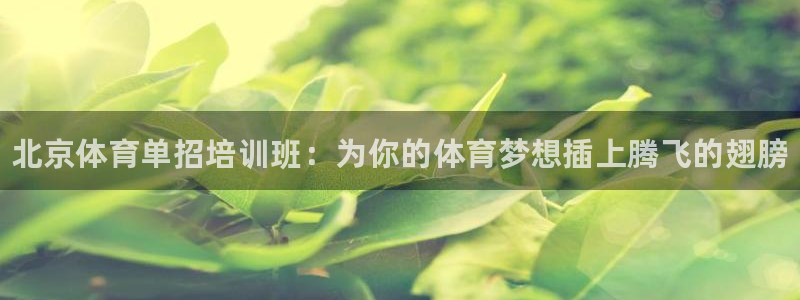 耀世娱乐能提现吗现在怎么样：北京体育单招培训班：为你