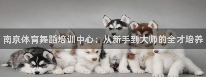 耀世娱乐辅助软件下载安装：南京体育舞蹈培训中心：从新