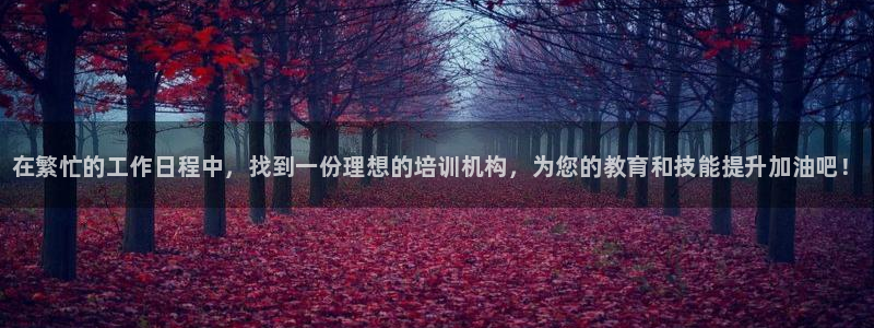 耀世集团视频介绍下载：在繁忙的工作日程中，找到一份理