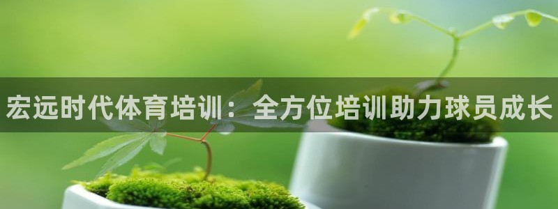 耀世娱乐辅助软件下载安卓：宏远时代体育培训：全方位培