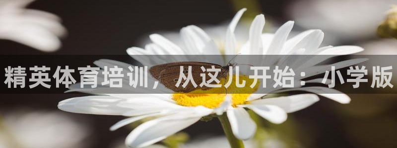 耀世娱乐佳 411O31 耀世：精英体育培训，从这儿