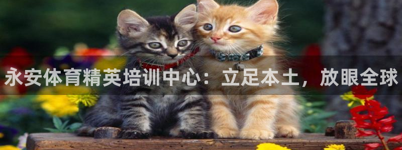 耀世娱乐建3.3.4.8.2 主管：永安体育精英培训中心：立